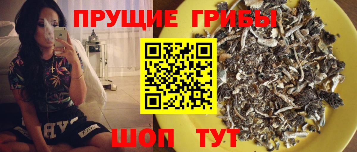 Россошь  Псилоцибиновые грибы ЛСД  Вход с VPN 